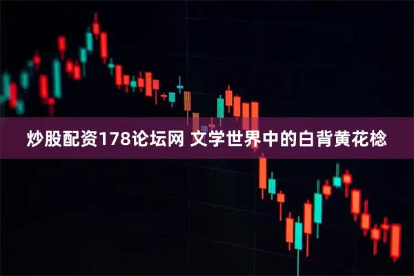 炒股配资178论坛网 文学世界中的白背黄花棯