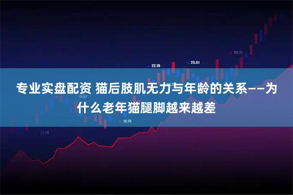 专业实盘配资 猫后肢肌无力与年龄的关系——为什么老年猫腿脚越来越差