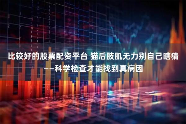 比较好的股票配资平台 猫后肢肌无力别自己瞎猜——科学检查才能找到真病因